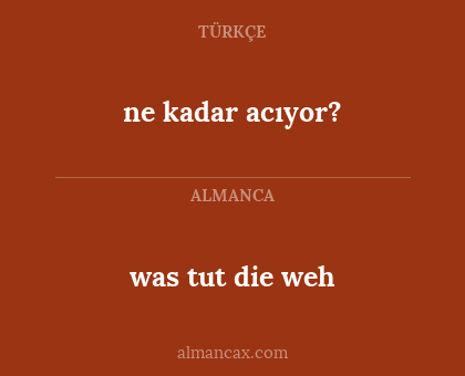ne kadar acıyor? - was tut die weh