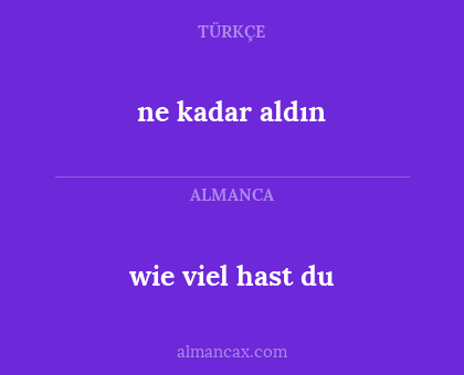 wie viel hast du - ne kadar aldın