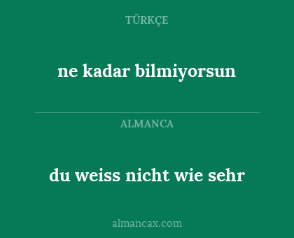 ne kadar bilmiyorsun - du weiss nicht wie sehr