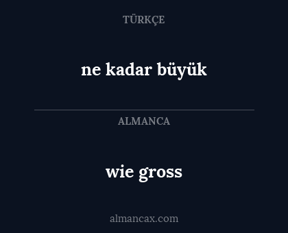 ne kadar büyük - wie gross