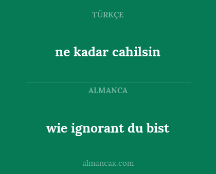 ne kadar cahilsin - wie ignorant du bist