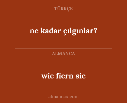 ne kadar çılgınlar? - wie fiern sie