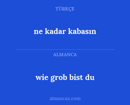 wie grob bist du - ne kadar kabasın