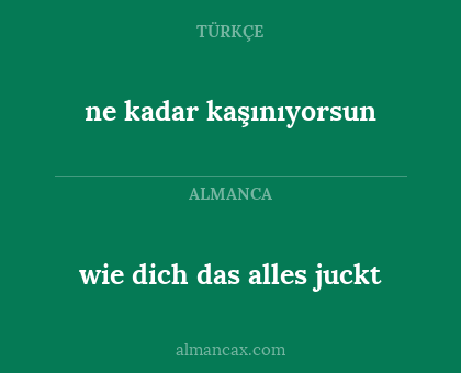 ne kadar kaşınıyorsun - wie dich das alles juckt