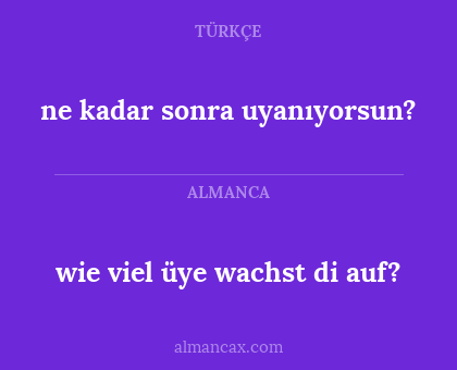 wie viel üye wachst di auf? - ne kadar sonra uyanıyorsun?