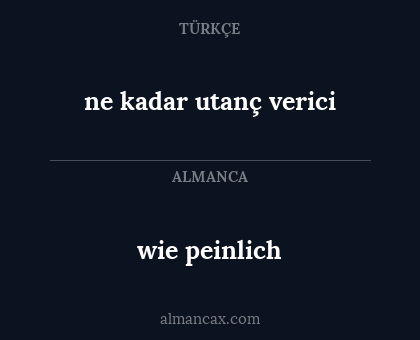 wie peinlich - ne kadar utanç verici