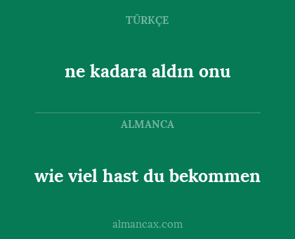 ne kadara aldın onu - wie viel hast du bekommen
