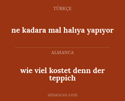 wie viel kostet denn der teppich - ne kadara mal halıya yapıyor