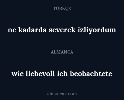 ne kadarda severek izliyordum - wie liebevoll ich beobachtete