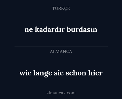 wie lange sie schon hier - ne kadardır burdasın