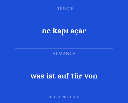 ne kapı açar - was ist auf tür von