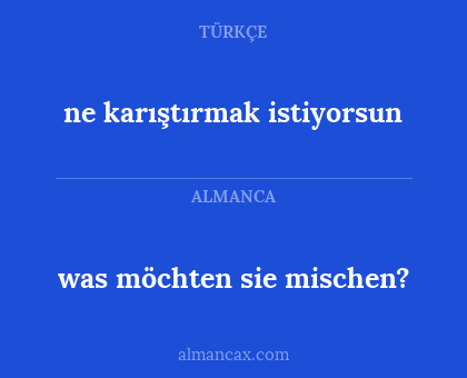 was möchten sie mischen? - ne karıştırmak istiyorsun