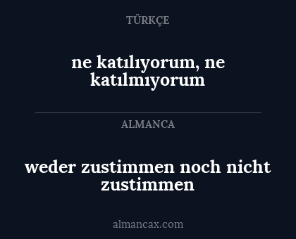 ne katılıyorum, ne katılmıyorum - weder zustimmen noch nicht zustimmen