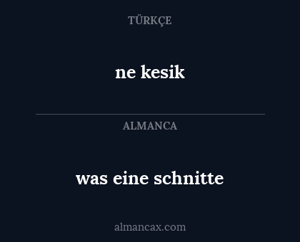 was eine schnitte - ne kesik