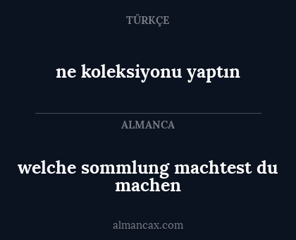 welche sommlung machtest du machen - ne koleksiyonu yaptın