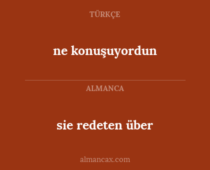ne konuşuyordun - sie redeten über