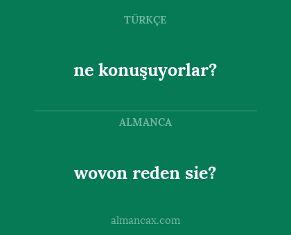 ne konuşuyorlar? - wovon reden sie?