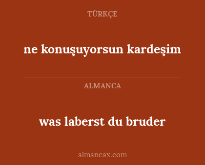 was laberst du bruder - ne konuşuyorsun kardeşim