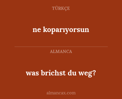 was brichst du weg? - ne koparıyorsun