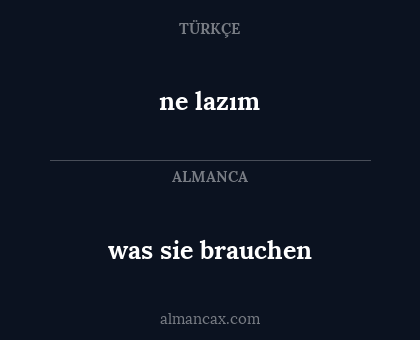 ne lazım - was sie brauchen