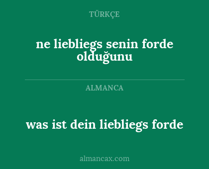 ne liebliegs senin forde olduğunu - was ist dein liebliegs forde