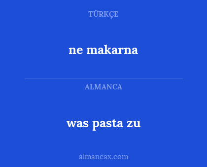 was pasta zu - ne makarna