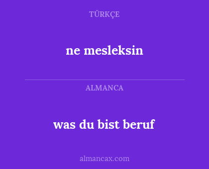 was du bist beruf - ne mesleksin
