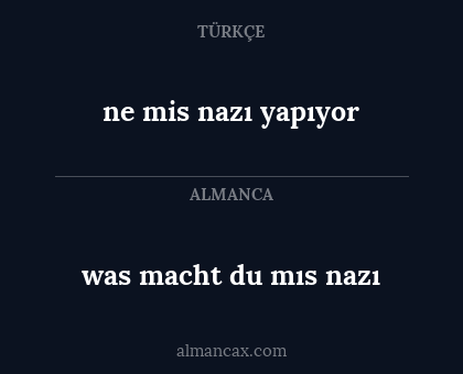 ne mis nazı yapıyor - was macht du mıs nazı