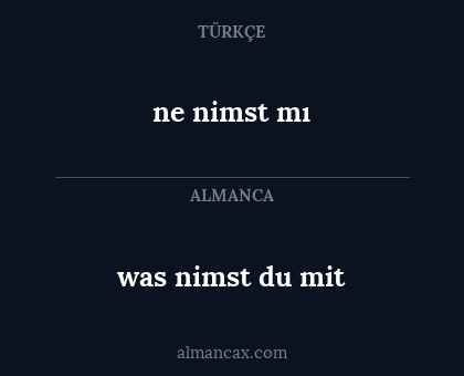 ne nimst mı - was nimst du mit
