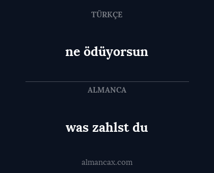 was zahlst du - ne ödüyorsun