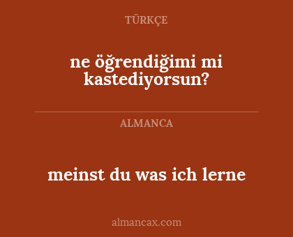 ne öğrendiğimi mi kastediyorsun? - meinst du was ich lerne