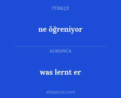 was lernt er - ne öğreniyor