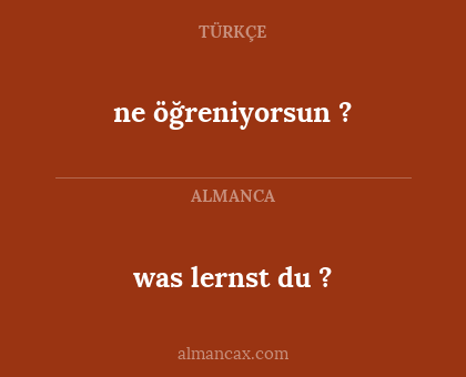 was lernst du ? - ne öğreniyorsun ?