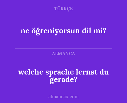 ne öğreniyorsun dil mi? - welche sprache lernst du gerade?