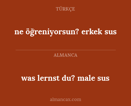 ne öğreniyorsun? erkek sus - was lernst du? male sus