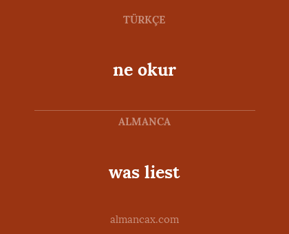 was liest - ne okur