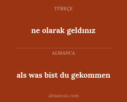 ne olarak geldınız - als was bist du gekommen