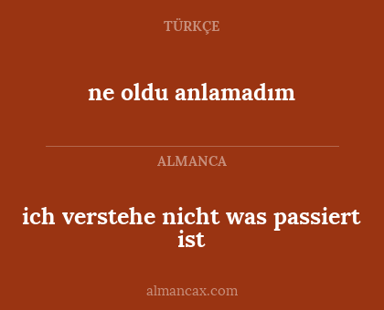 ne oldu anlamadım - ich verstehe nicht was passiert ist