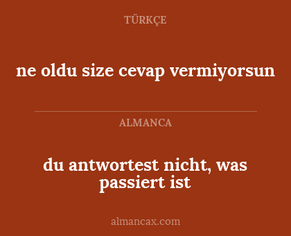 du antwortest nicht, was passiert ist - ne oldu size cevap vermiyorsun