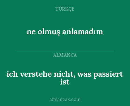 ne olmuş anlamadım - ich verstehe nicht, was passiert ist