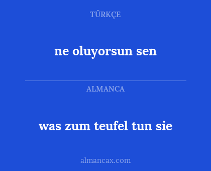 ne oluyorsun sen - was zum teufel tun sie