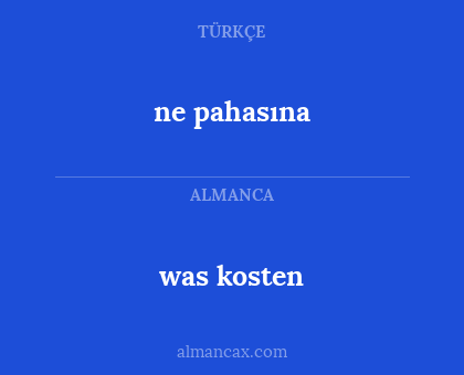 was kosten - ne pahasına