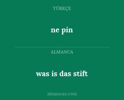 ne pin - was is das stift