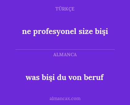 ne profesyonel size bişi - was bişi du von beruf