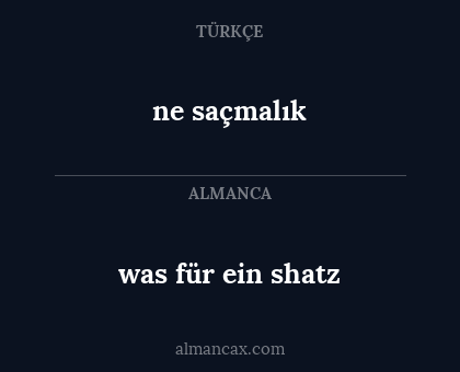 ne saçmalık - was für ein shatz