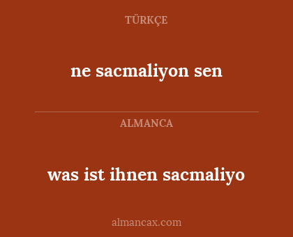 ne sacmaliyon sen - was ist ihnen sacmaliyo
