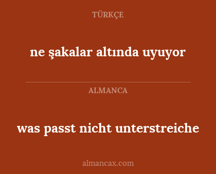 ne şakalar altında uyuyor - was passt nicht unterstreiche