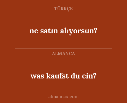 was kaufst du ein? - ne satın alıyorsun?