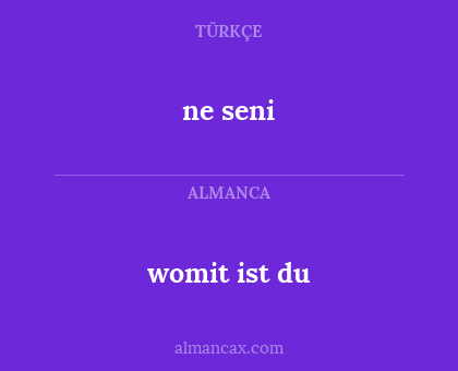 ne seni - womit ist du
