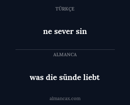 was die sünde liebt - ne sever sin